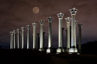 Sunset and Moonrise Over The Capitol Columns